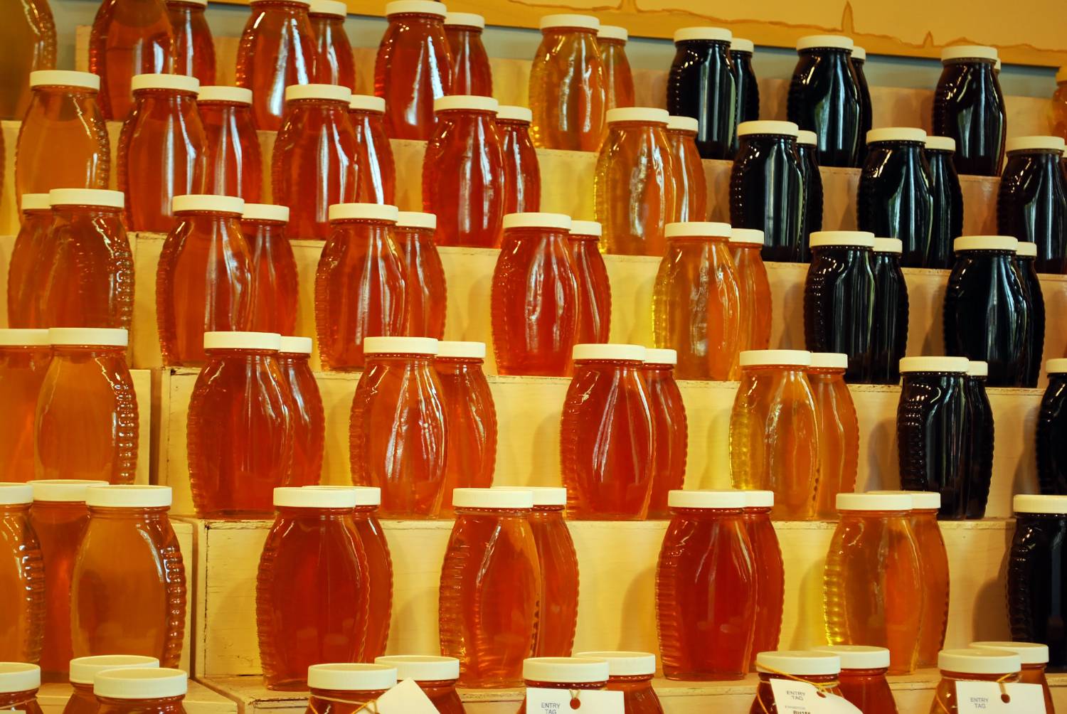 Raw Wildflower Honey - Pure & Unfiltered - Local Bees - Image 1