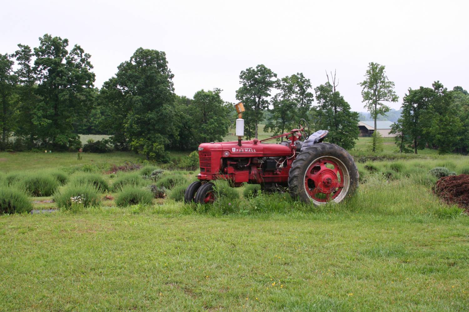Farm Hand Needed - Full Time with Housing - Image 1